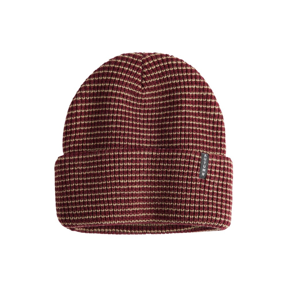Autumn Stripe Beanie – Axis Boutique