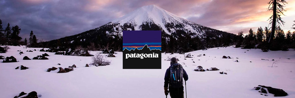 Patagonia: Who would give $89 millions for the planet ?