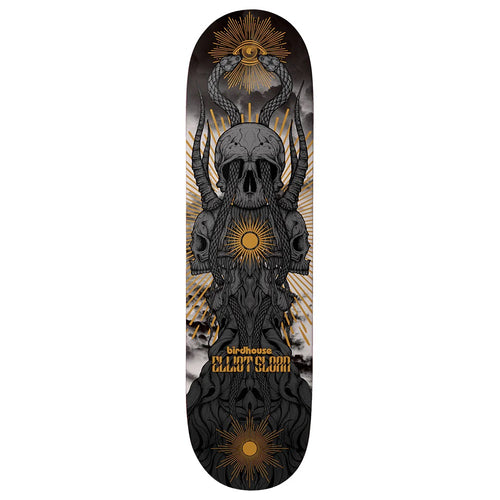 Birdhouse - Planche de skateboard Sloan Provan 8.38