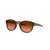 Oakley Latch Sunglasses