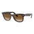 Rayban Wayfarer Sunglasses