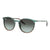 Rayban RB2204 Sunglasses