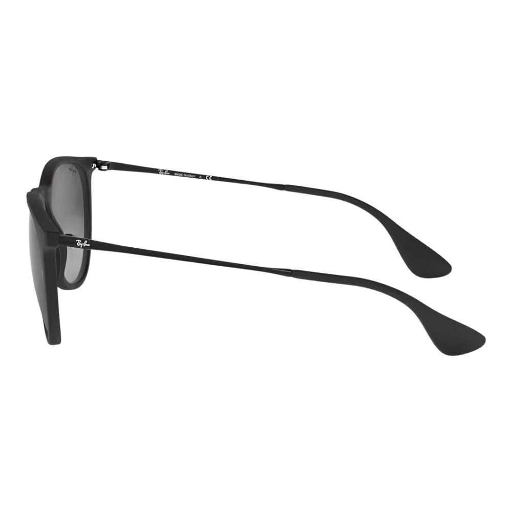 Rayban Erika Sunglasses