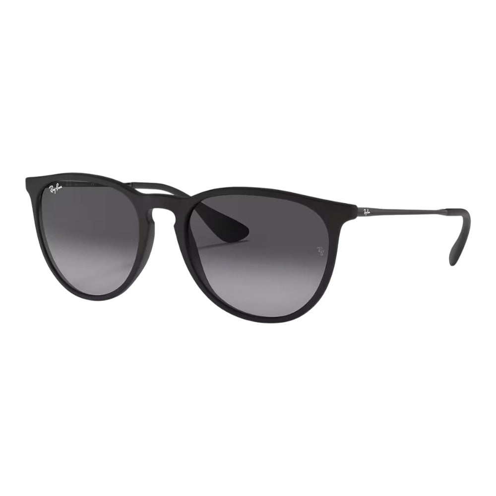 Rayban Erika Sunglasses