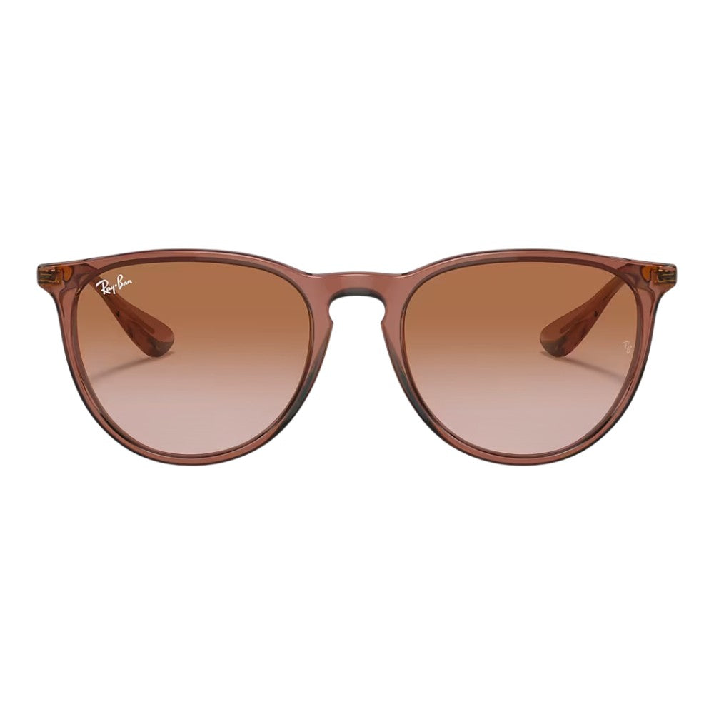 Rayban Erika Sunglasses