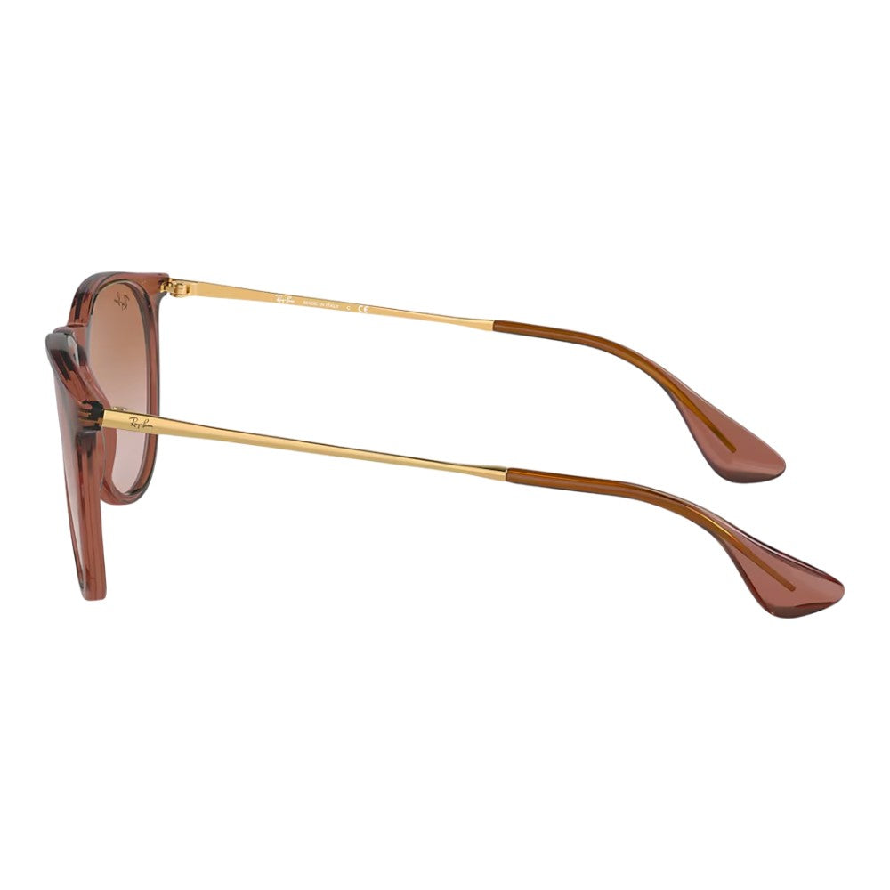 Rayban Erika Sunglasses