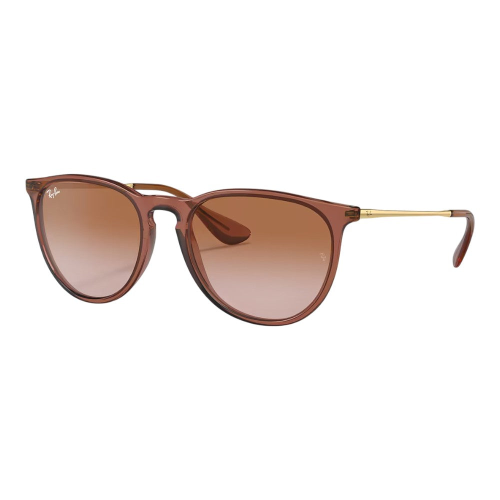 Rayban Erika Sunglasses