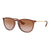 Rayban Erika Sunglasses