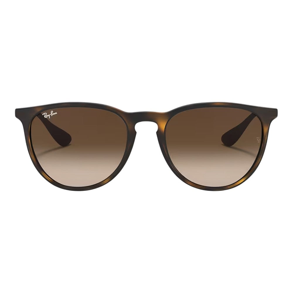 Rayban Erika Sunglasses