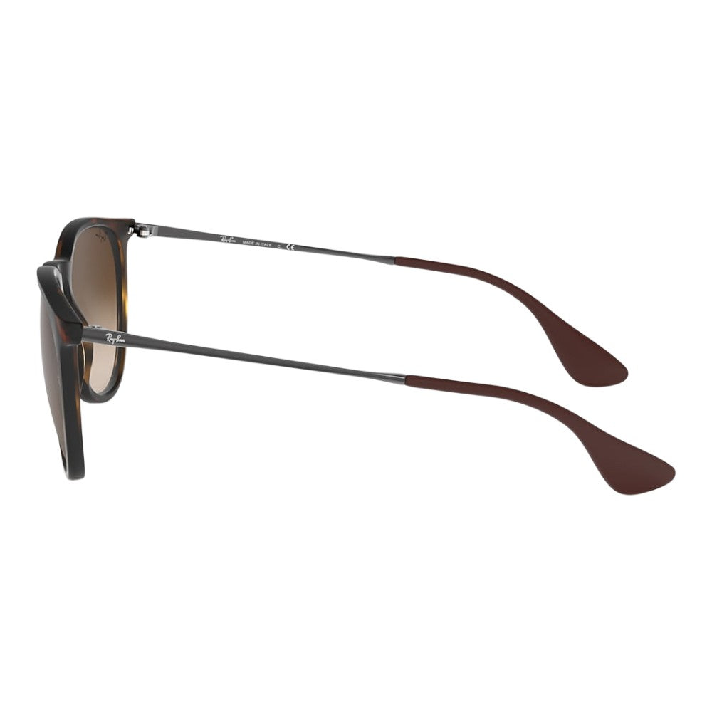 Rayban Erika Sunglasses