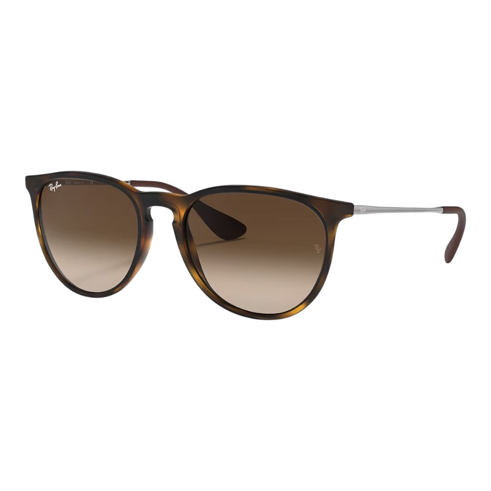 Rayban Erika Sunglasses