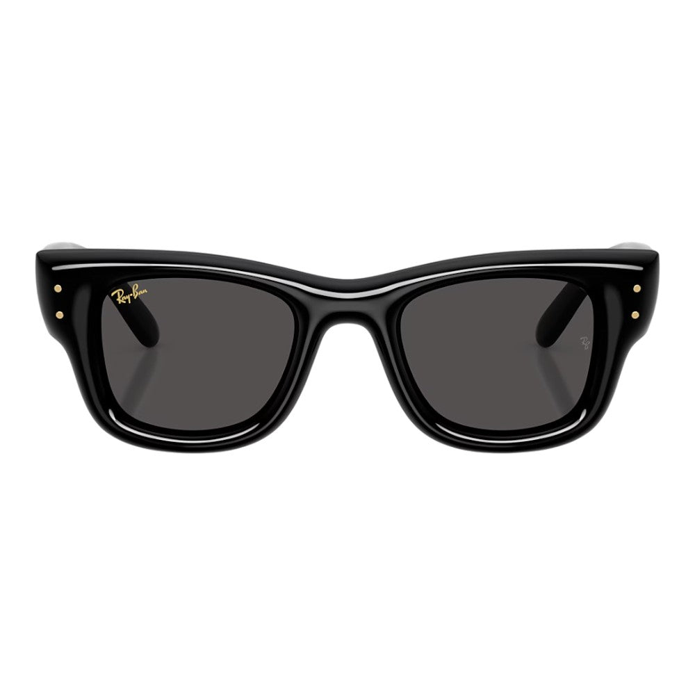 Rayban Wayfarer Puffer Sunglasses