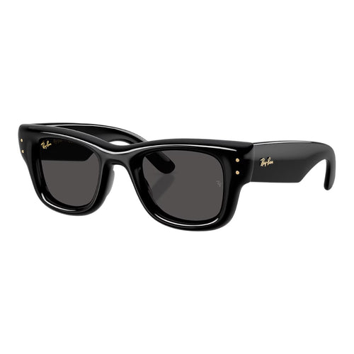 Rayban Wayfarer Puffer Sunglasses
