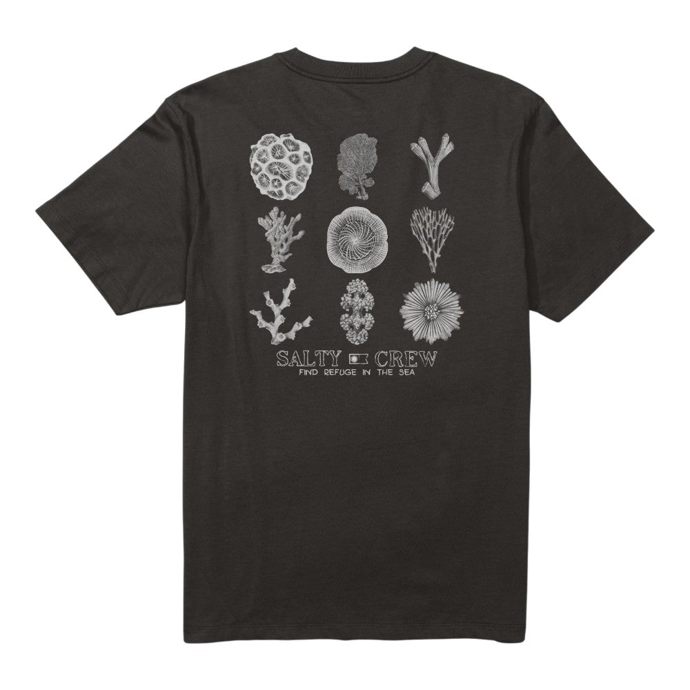 T-shirt Salty Crew Coral Head manches courtes