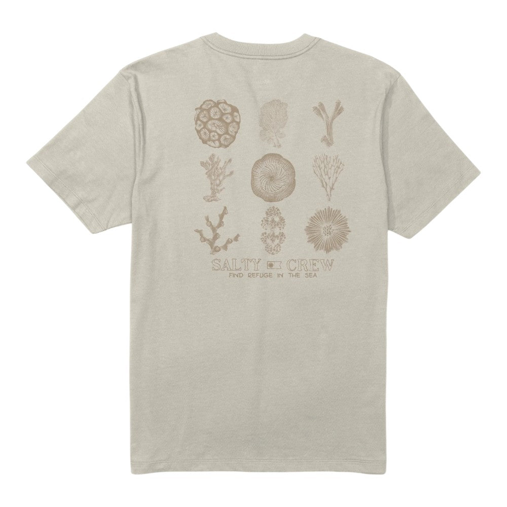 T-shirt Salty Crew Coral Head manches courtes