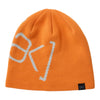 Burton [ak] Logo Beanie