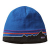 Patagonia Beanie Hat