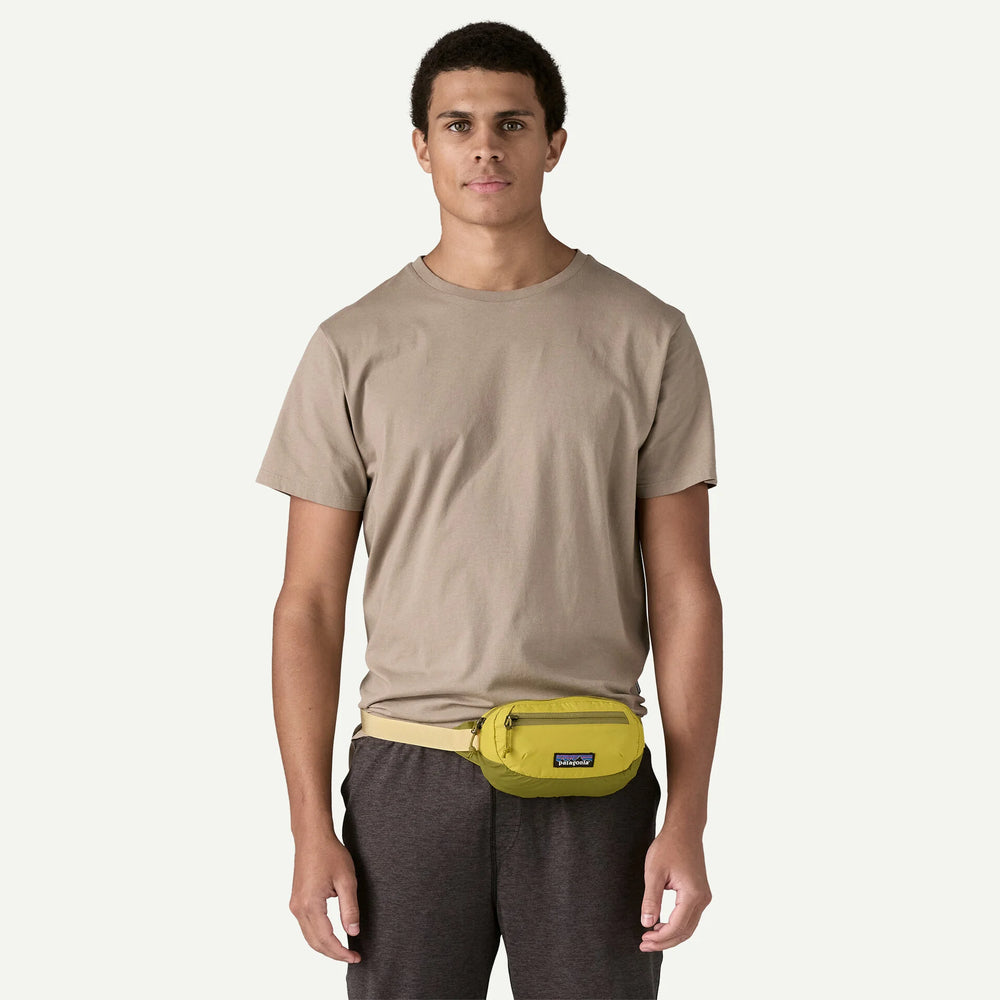 Patagonia Terravia Mini Hip Pack