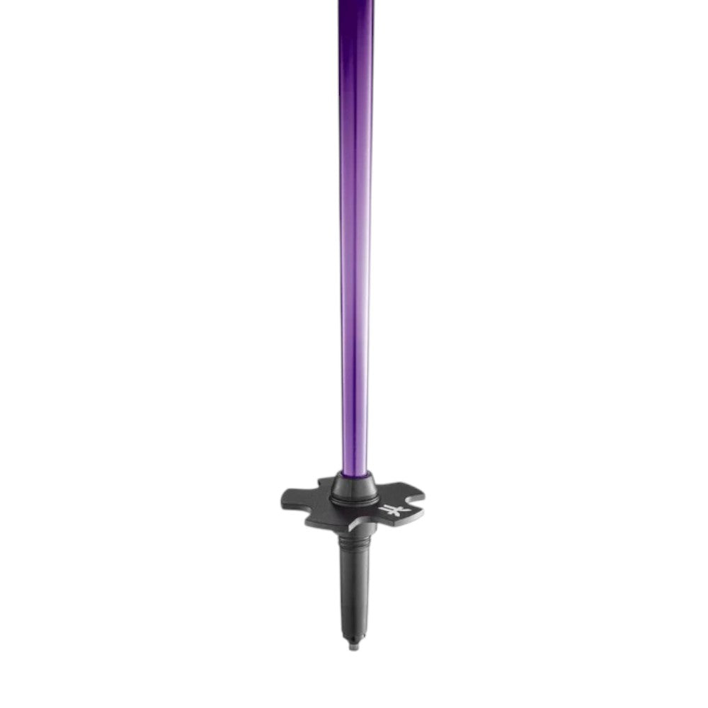 Agent de faction Polonais