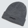 Oakley B1B Logo Beanie