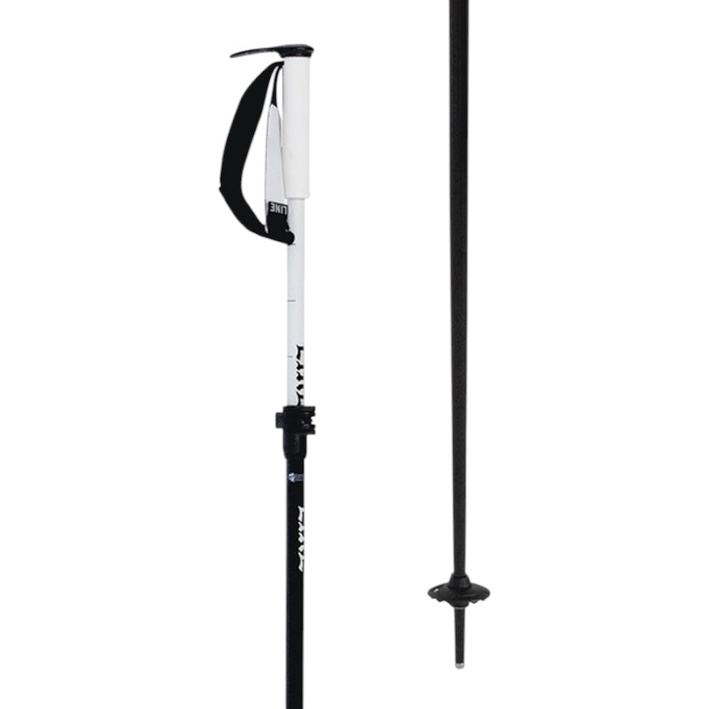 Line Paintbrush Poles