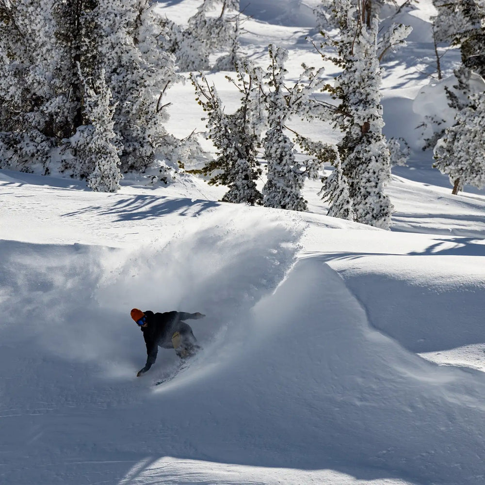 Planche à neige Jones Frontier