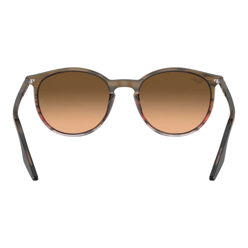 Rayban Rb2204 Sunglasses
