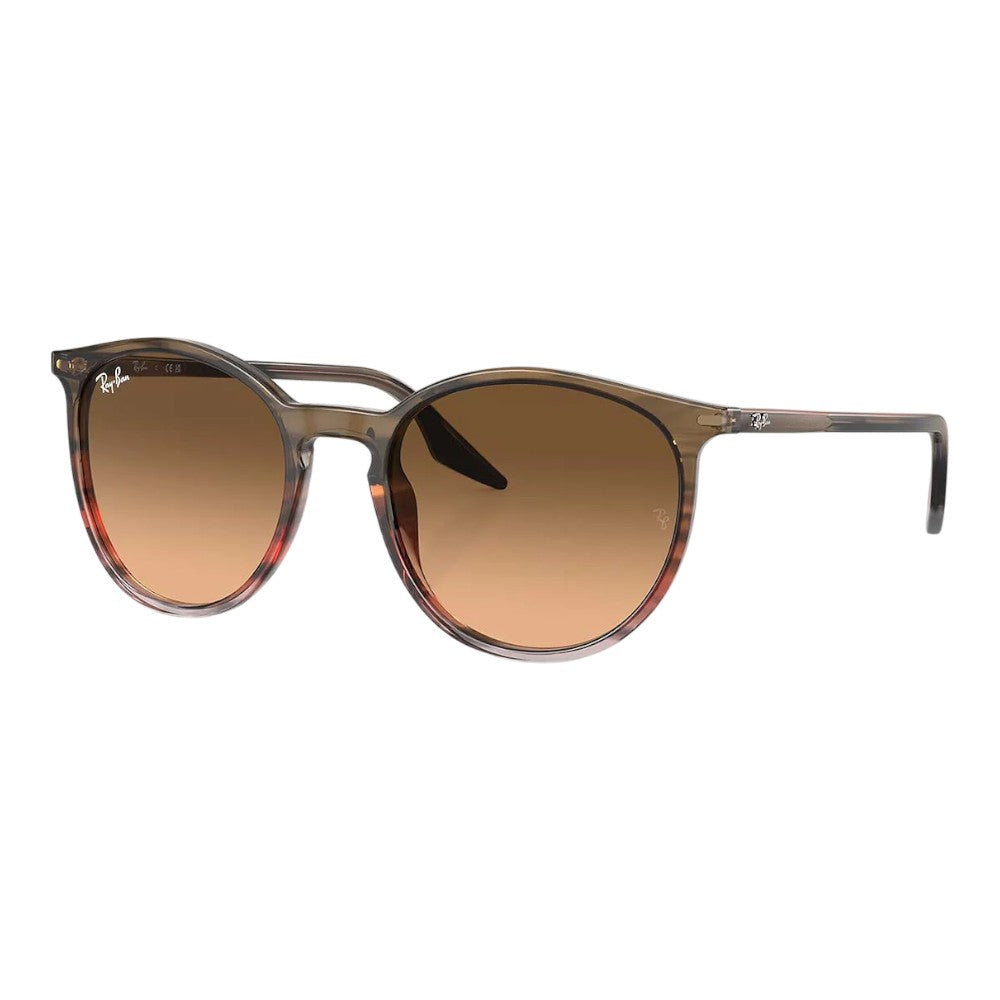 Rayban Rb2204 Sunglasses