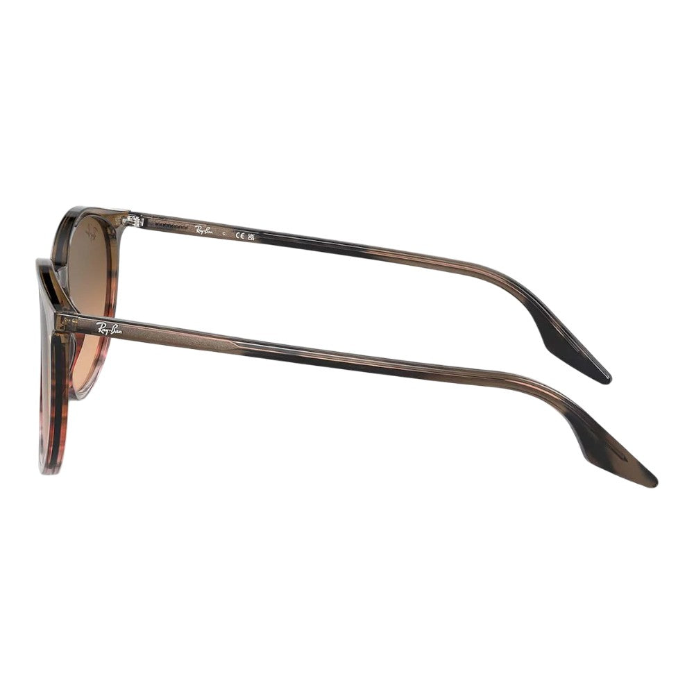 Rayban Rb2204 Sunglasses