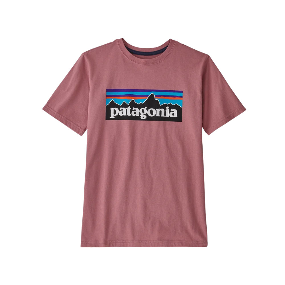 Patagonia Kids Regenerative Organic Certified Cotton P 6 Logo T Shirt