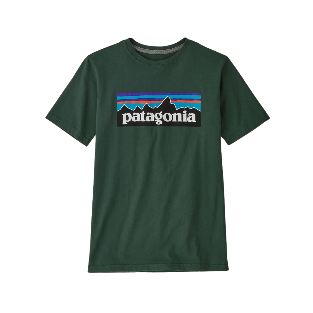 Patagonia Kids' Regenerative Organic Certified™ Cotton P-6 Logo T-Shir –  Axis Boutique