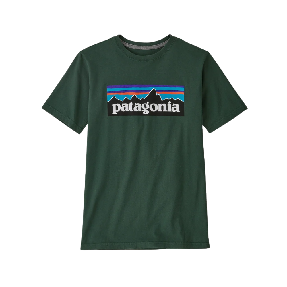 Patagonia Kids Regenerative Organic Certified Cotton P 6 Logo T