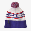 Patagonia Powder Town Beanie