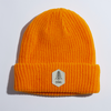 Coal 2022 The Scout Beanie